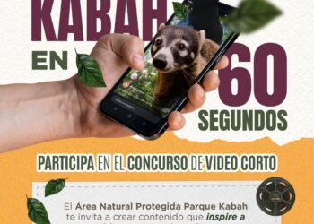 Concurso de video fomenta cuidado del Parque Kabah