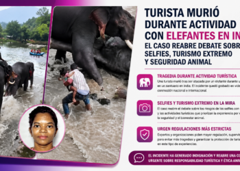 🐘 ¿Vale una selfie? Turista muere aplastada en India