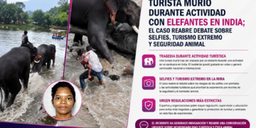 🐘 ¿Vale una selfie? Turista muere aplastada en India