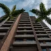 El hotel de Caracas donde se cruzan diplomáticos, inversionistas y guacamayas