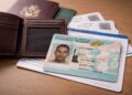 Migrantes con la “green card” son el objetivo de deportación de un nuevo “aparato de expulsión”