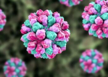 🚨 Otro virus se dispara en crucero; ya hay más de 100 contagios