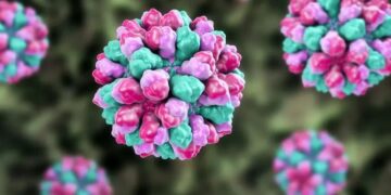 🚨 Otro virus se dispara en crucero; ya hay más de 100 contagios