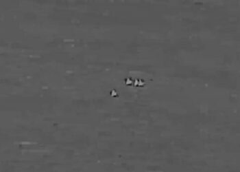 👽🎥// EE.UU. desclasifica nuevos documentos secretos sobre ovnis