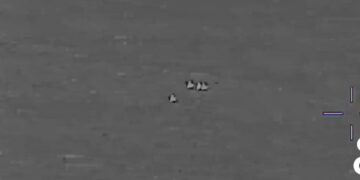 👽🎥// EE.UU. desclasifica nuevos documentos secretos sobre ovnis