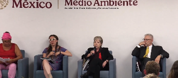 Semarnat frena el proyecto Perfect Day en Mahahual por impacto ambiental (VIDEO)