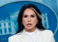 🇺🇸 Tulsi Gabbard renuncia al Gobierno de Trump