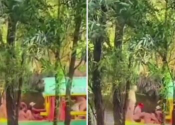 🎥🚤 VIDEO: Extranjeros desnudos en Xochimilco incendian redes