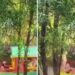 🎥🚤 VIDEO: Extranjeros desnudos en Xochimilco incendian redes
