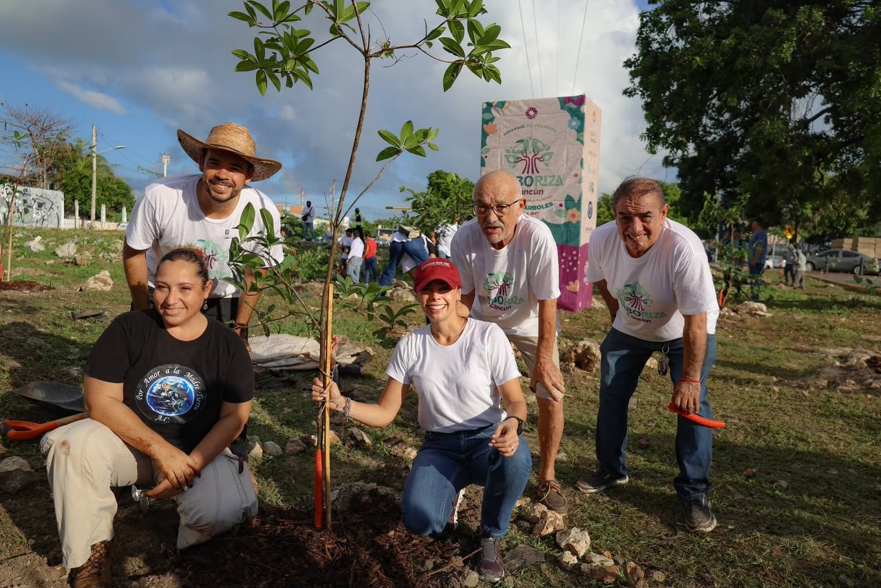 Cancún recibe distintivo internacional por arbolado urbano