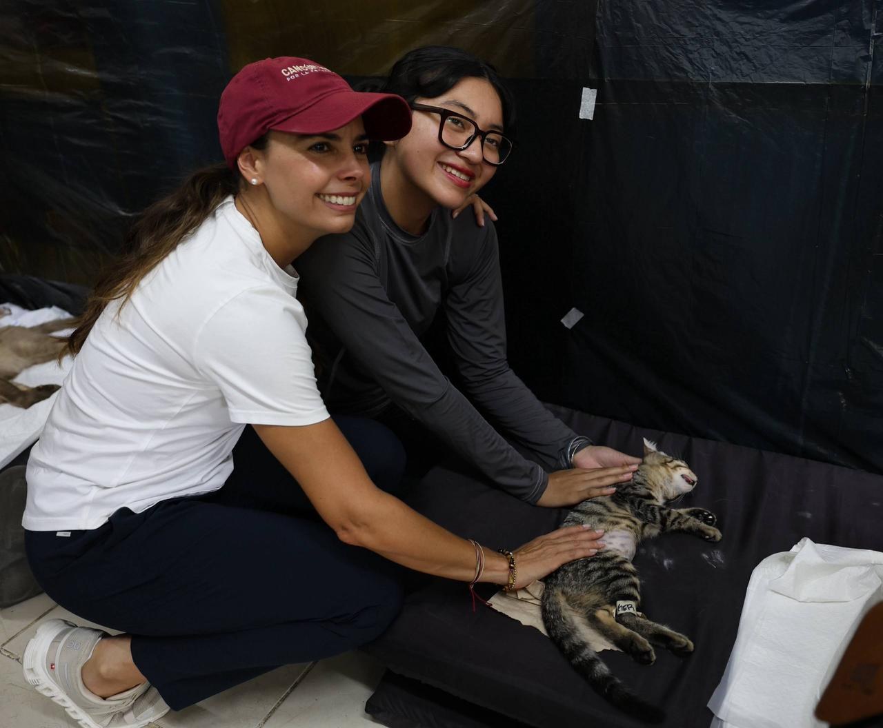 Cancún realiza jornada gratuita de esterilización animal
