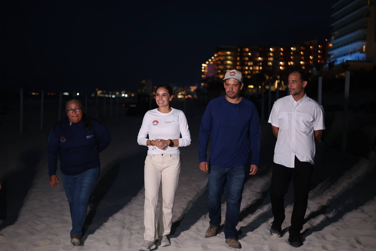 Cancún protege más de 130 mil huevos de tortugas marinas