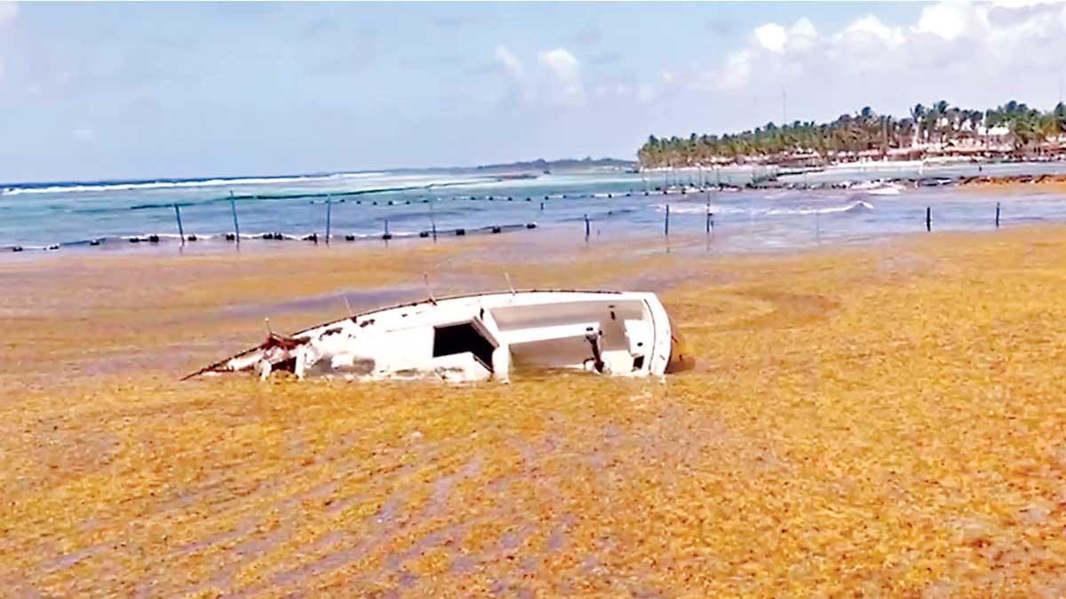Crece alerta por gases tóxicos del sargazo en Caribe mexicano