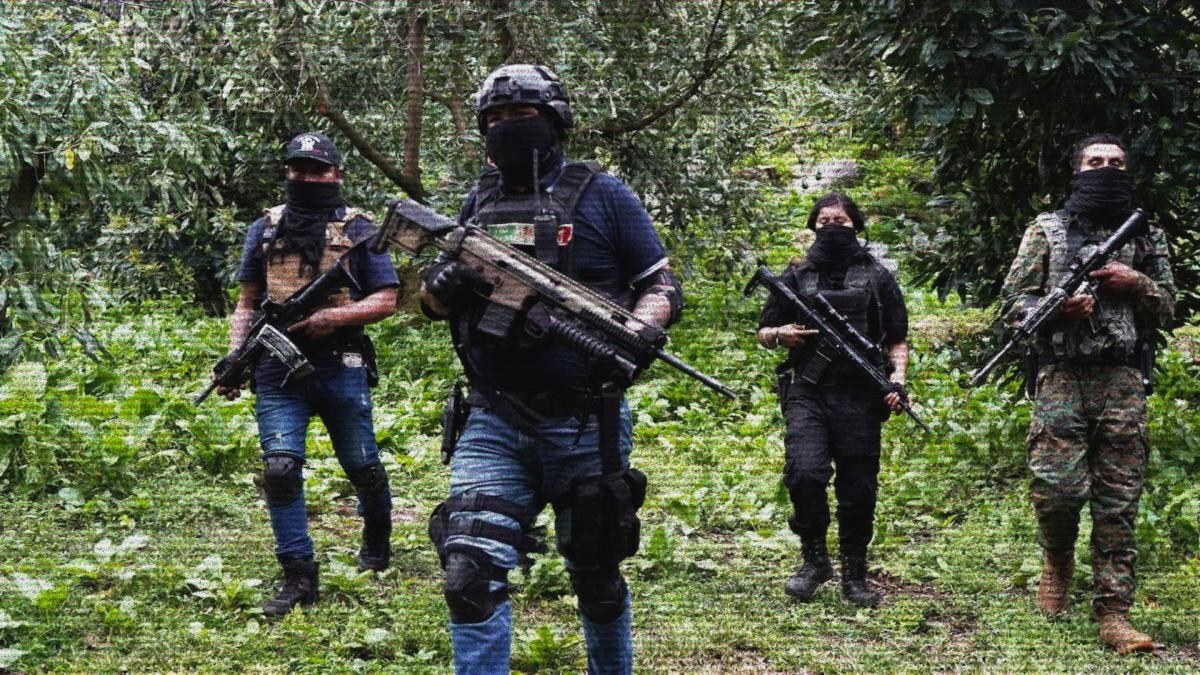 Cárteles mexicanos operan como multinacionales globales
