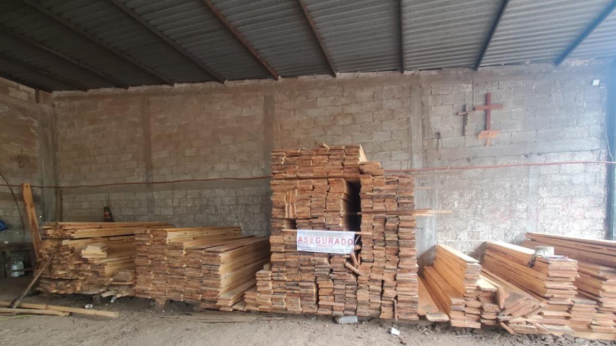 Clausuran aserradero en Puebla por irregularidades forestales