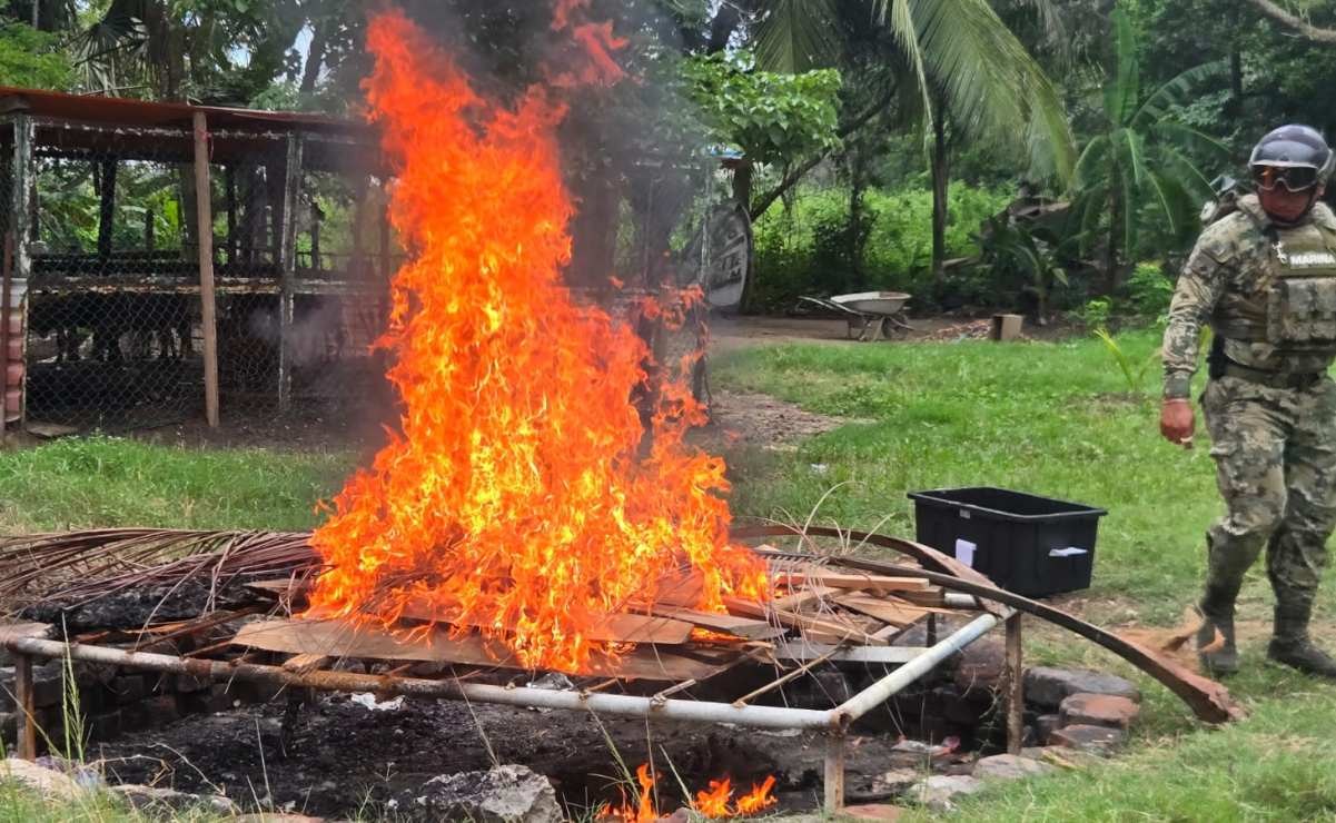 Destruyen 45 explosivos y 4 granadas en Tabasco