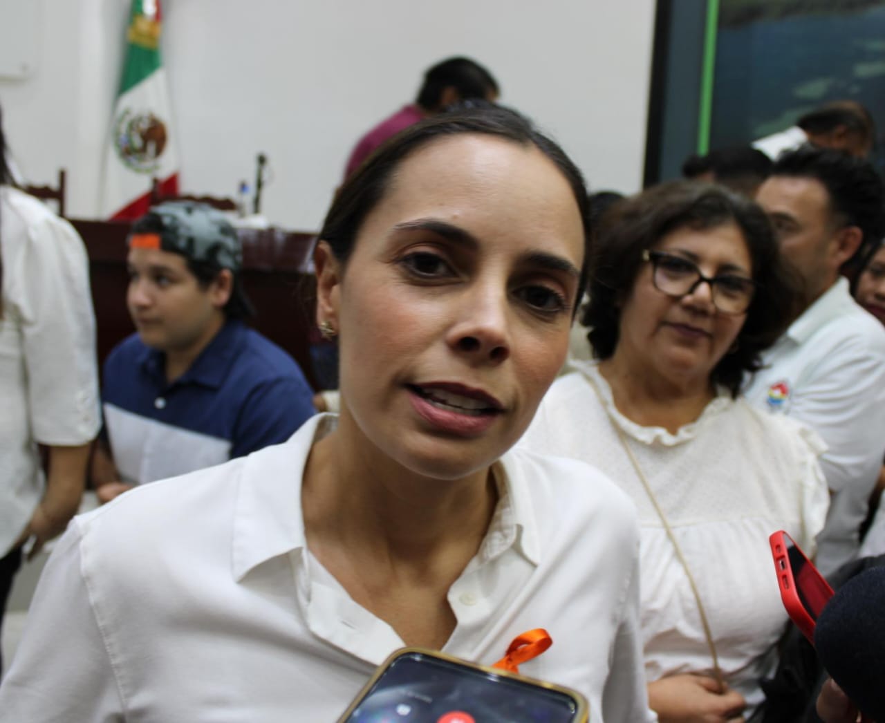Ana Patricia Peralta solicitará licencia para proceso interno