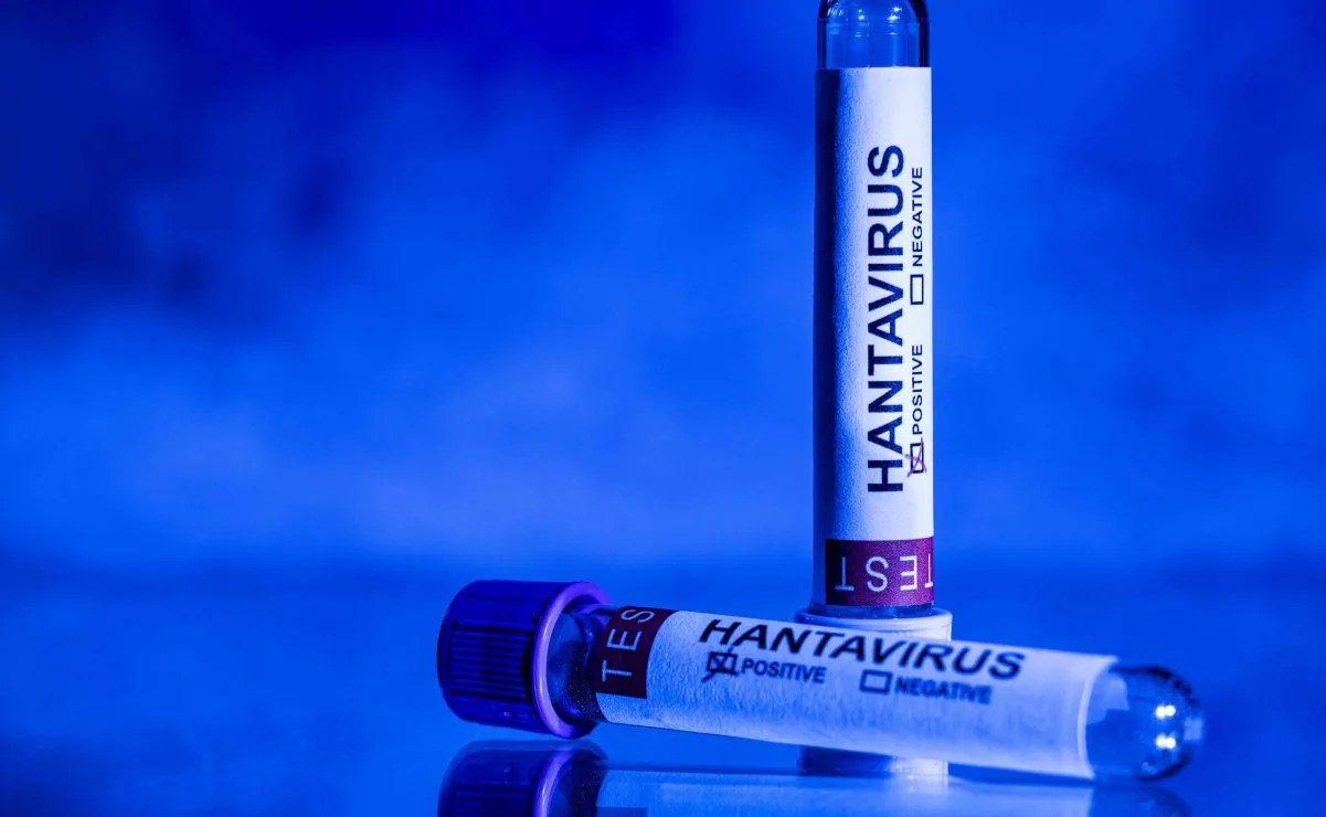 OMS podría declarar fin del brote de hantavirus en julio