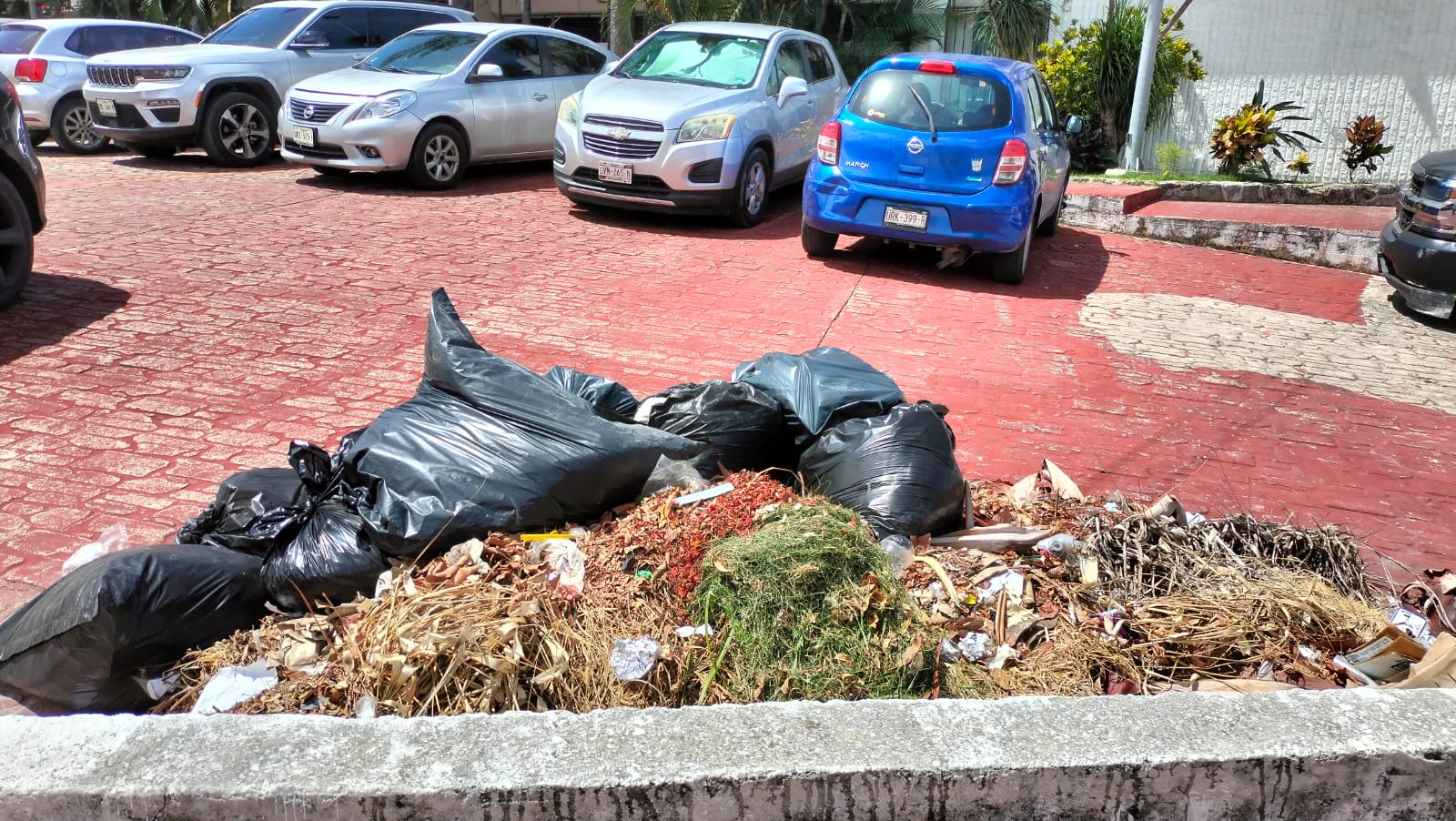 Basura y motos obstaculizan acceso en Palacio de Gobierno