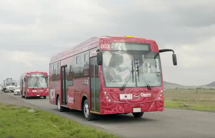 01_buses.jpeg