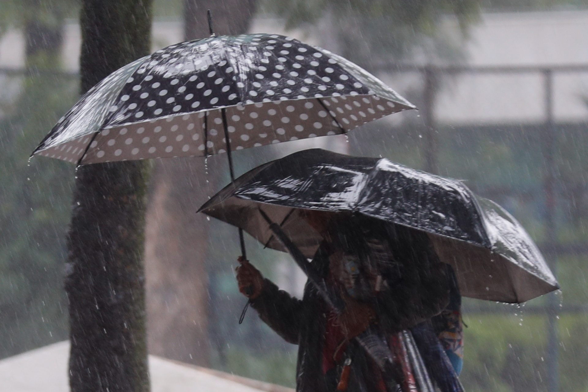 01_lluvias-cdmx-alerta-amarilla-naranja-roja-ciudad-de-mexico.jpg