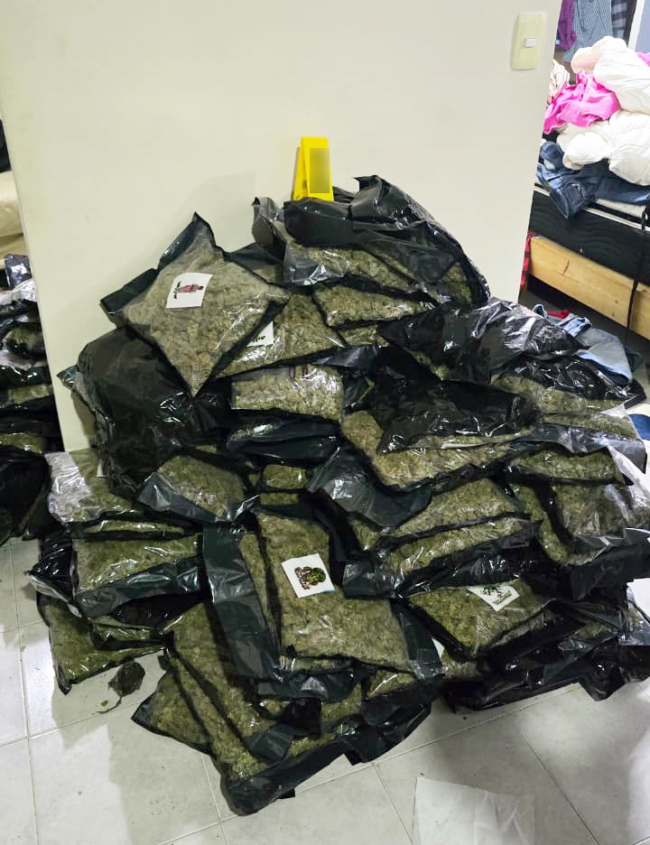 Aseguran 166 kilos de marihuana en Benito Juárez
