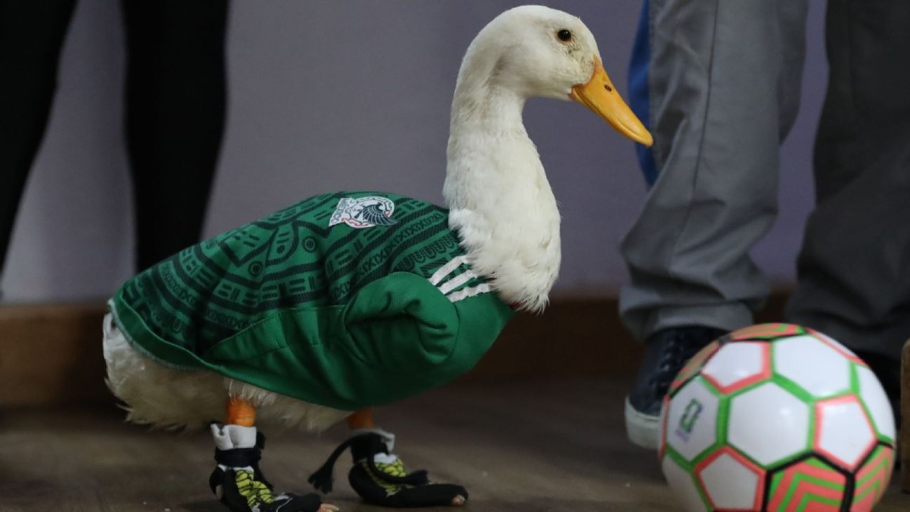 Pato Merlín no puede ingresar a México vs Chequia