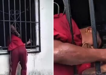 VIDEO: Intentó entrar por una ventana para robar y terminó haciendo el ridículo 😂🚨