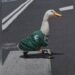 El pato Merlín, fenómeno viral en la 'mañanera'