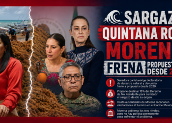 ⚠️Senadora Mayuli pide declarar desastre natural por sargazo y Morena lo frena desde 2020
