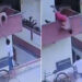 VIDEO🍦 Hombre cae desde una terraza por alcanzar un helado
