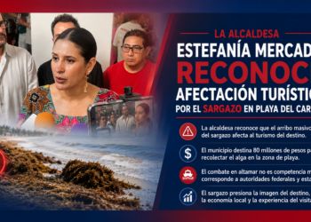 🚨 Sargazo golpea turismo de Playa: la ex-panista Estefanía reconoce impacto y crecen críticas por respuesta municipal.