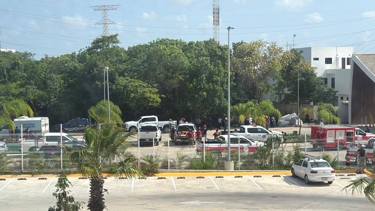 fase3_01_fotos_293.jpg