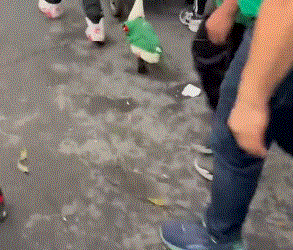 VIDEO// Ganso con camiseta de México roba miradas en Mundial