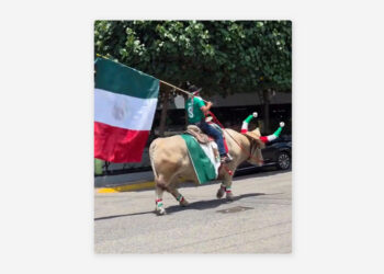 VIDEO🐂Hincha pasea toro para apoyar a México
