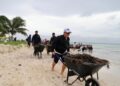 Isla Mujeres retira 12,000 toneladas de sargazo en 2026