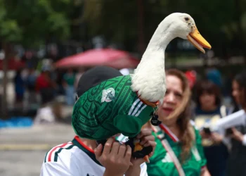 VIDEO;🦆🇲🇽 Merlín es la mascota no oficial de la Selección Mexicana