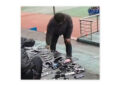 VIDEO🔨 Profesores destruyen teléfonos en China frente a alumnos