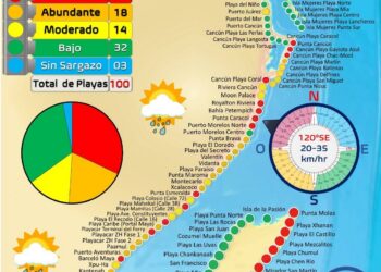 Isla Mujeres y Cancún reportan bajos niveles de sargazo