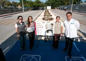 Entregan entorno seguro en Universidad Tecnológica Cancún