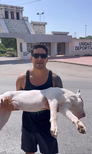 Envenenan perro en Unidad Deportiva de Tulum