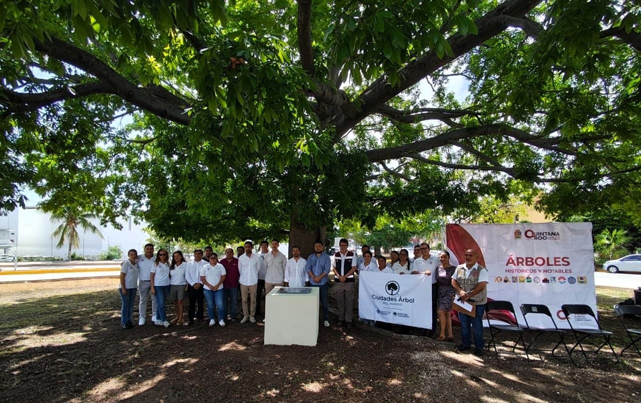 Cancún instala placa en Árbol Notable por Día Nacional