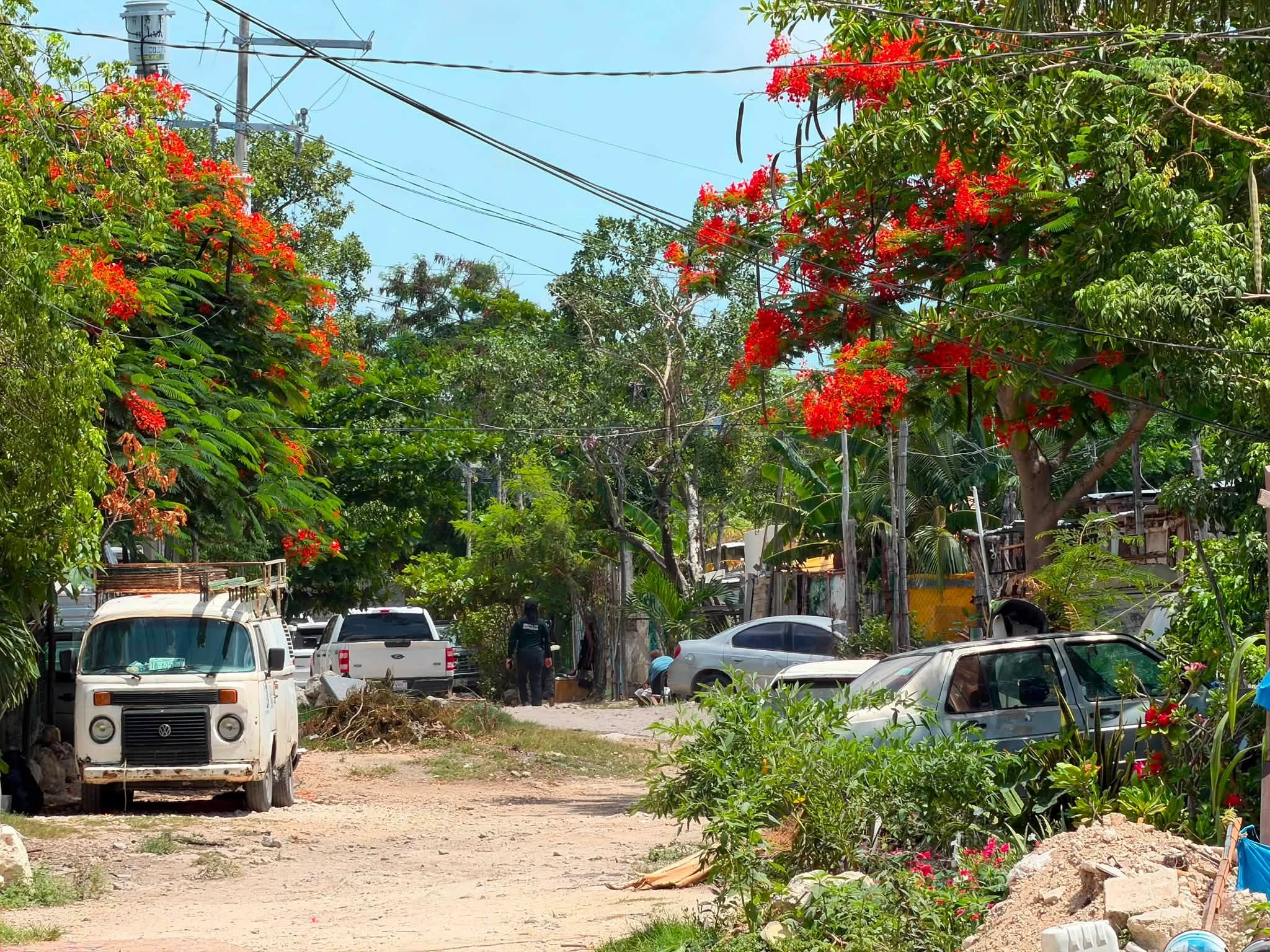 Operativo busca a Francisco en SM 234 tras casi 4 años