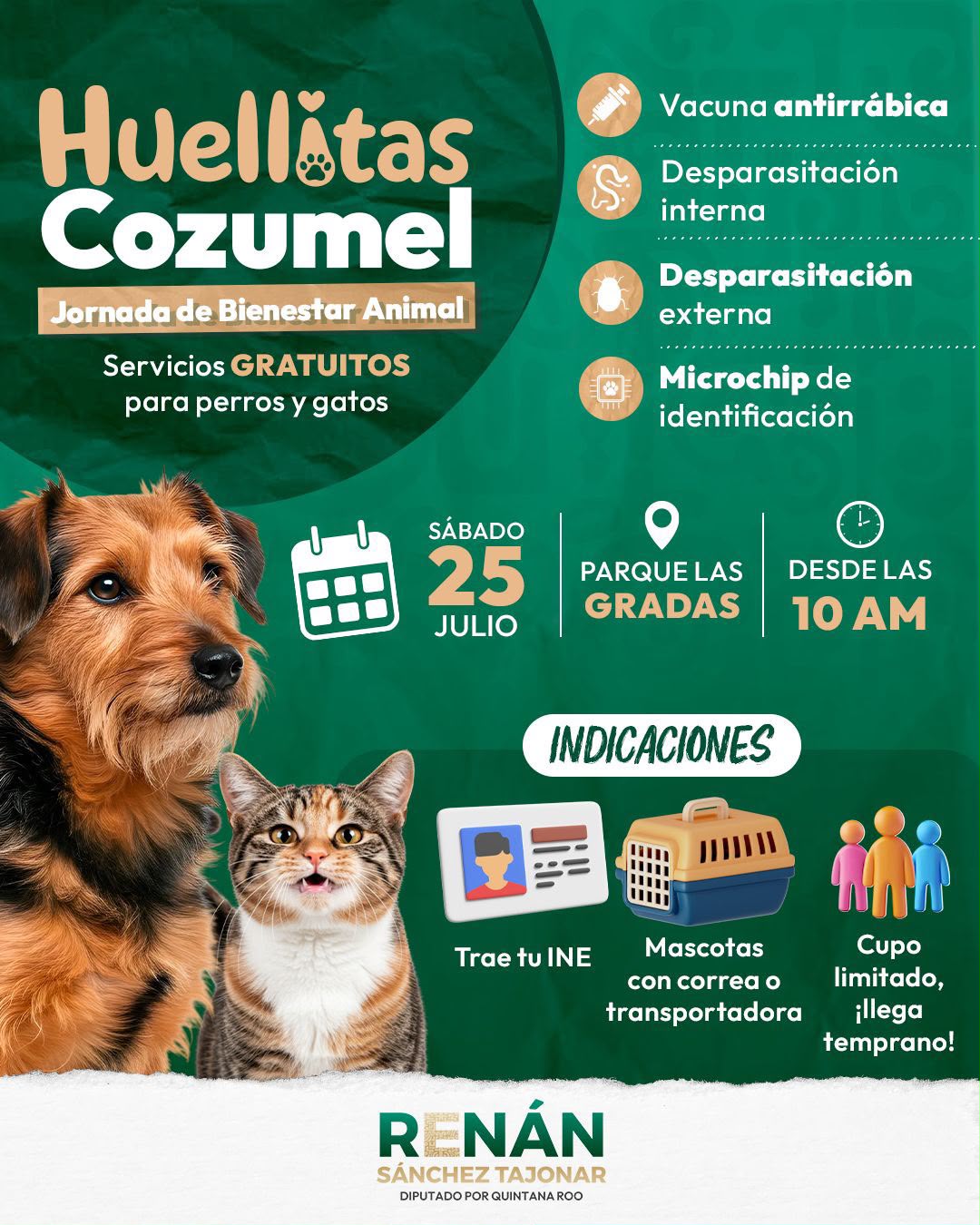 Cozumel realizará jornada gratuita de bienestar animal
