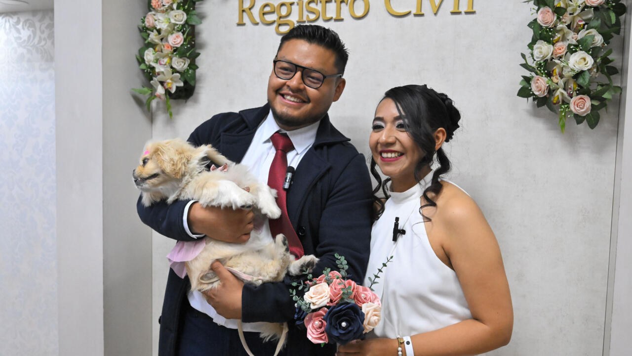 Ecuador permite mascotas como testigos en bodas civiles