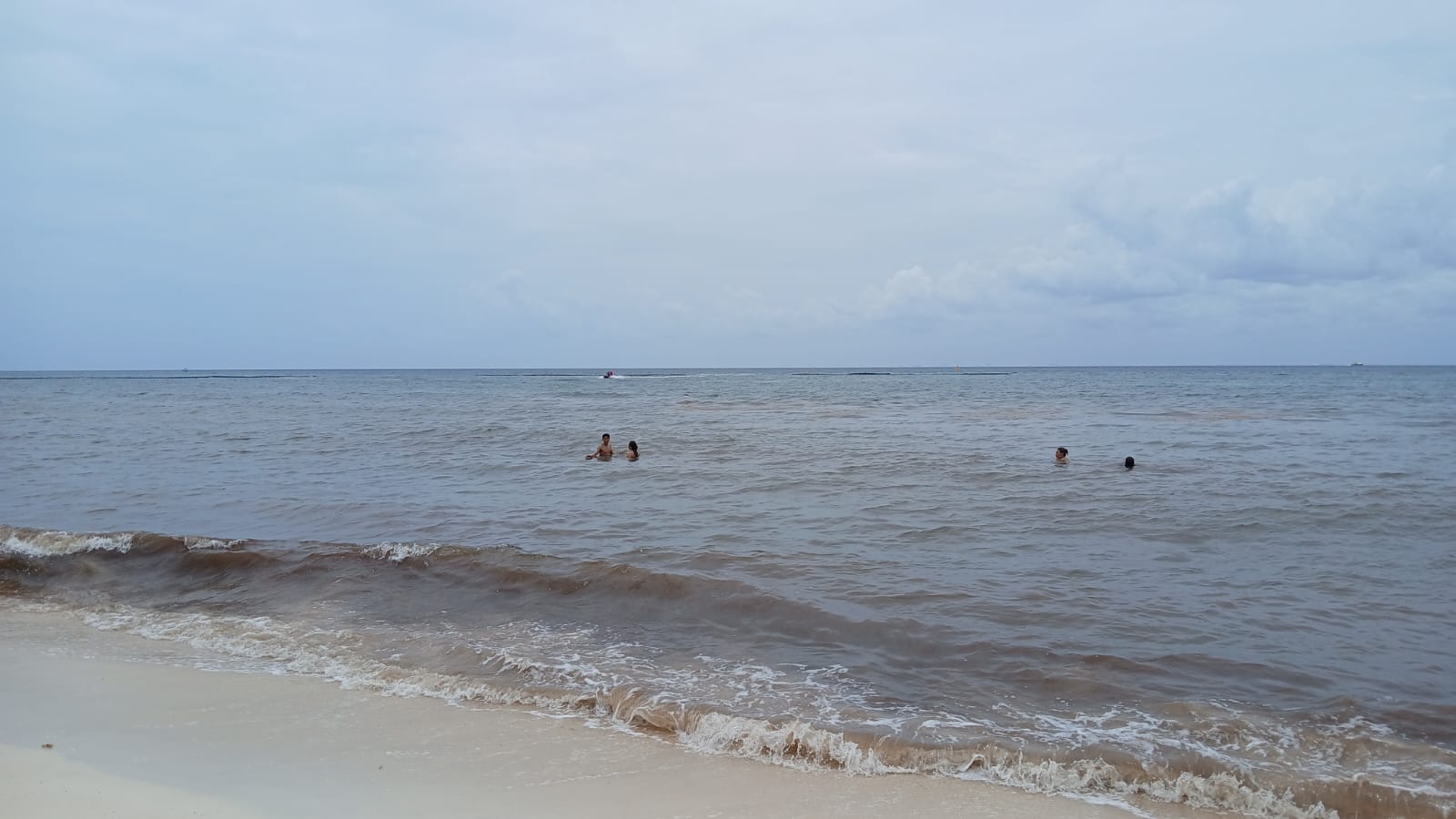 Mejora arribo de sargazo en Playa del Carmen, alertan hoteleros