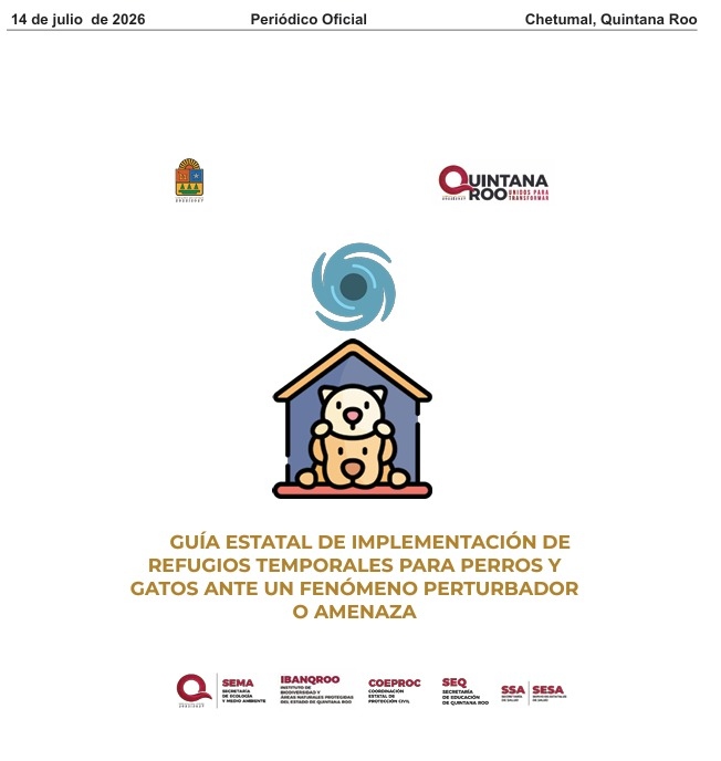 Quintana Roo publica guía para refugios de perros y gatos