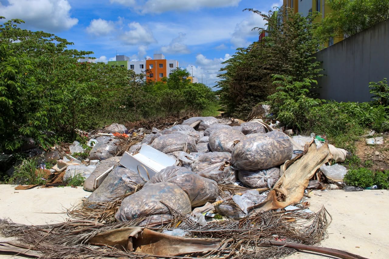 Multan a dueños de predios baldíos en Playa del Carmen