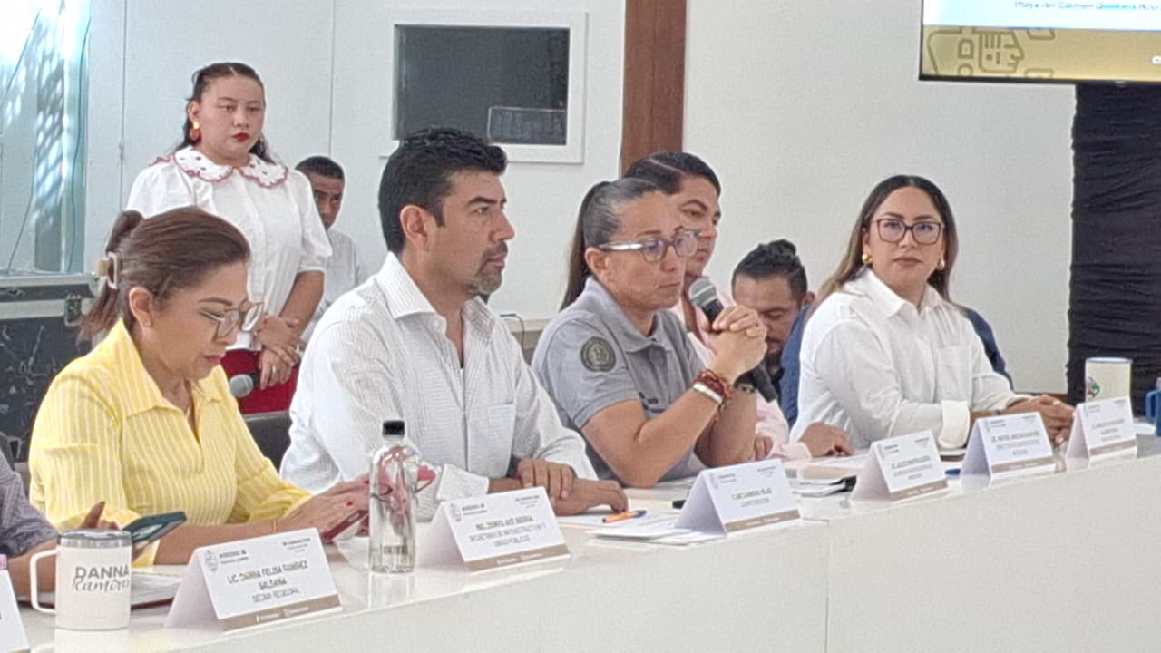 Playa del Carmen sancionará a CFE por basura y cortes