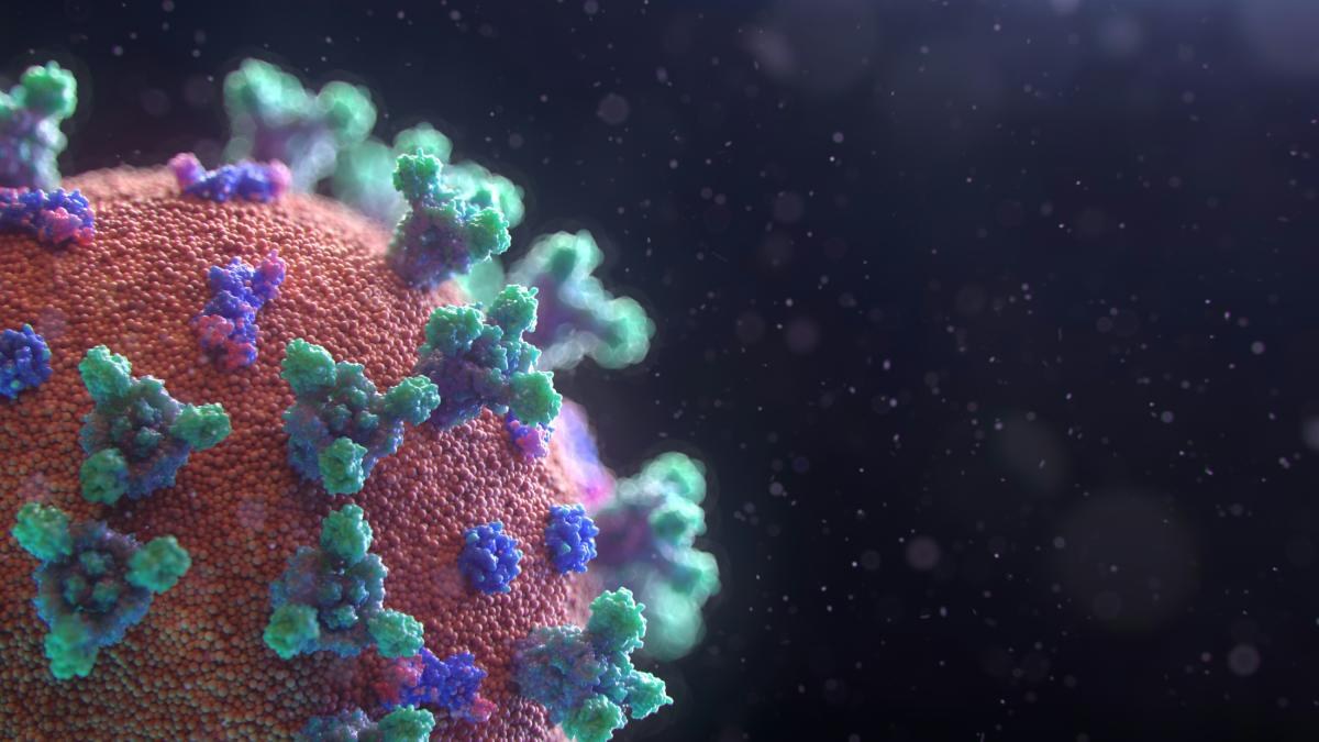 Michigan investiga brote masivo de parásito Cyclospora